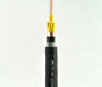 鎧裝控制電纜 信號電纜